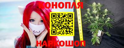 стаф Свободный