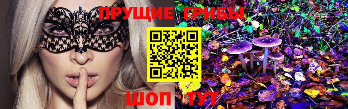 Псилоцибиновые грибы Psilocybe  Вход с VPN  Тамбов 